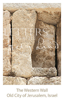 /wp-content/uploads/Letters/LetterOnly/L-01_western wall detail_2019.png